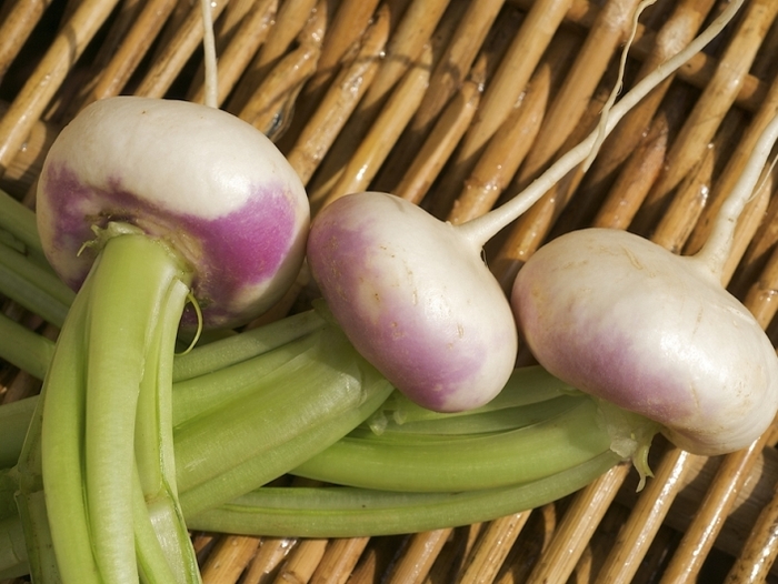 Baby turnips with honey-mustard dressing