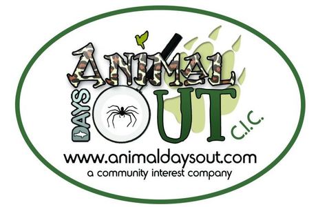 Animal Days Out Summer Holiday Clubs & Pony Days!