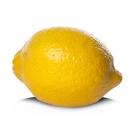 Week 14: Lemon