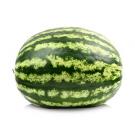 Weeks 37-41: Watermelon