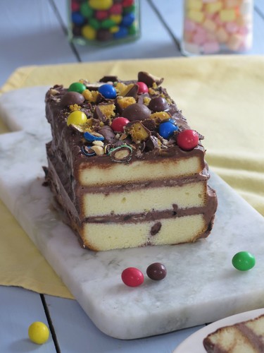 Chocolate ice-cream cake