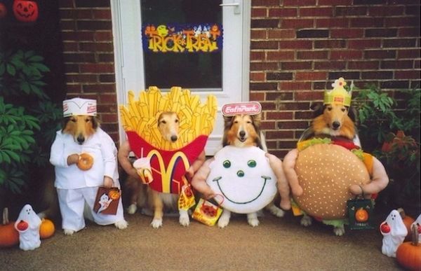 Mums best friend! 10 Halloween costume ideas for your dog
