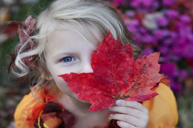 6 fun things to do with kids as Autumn sets in