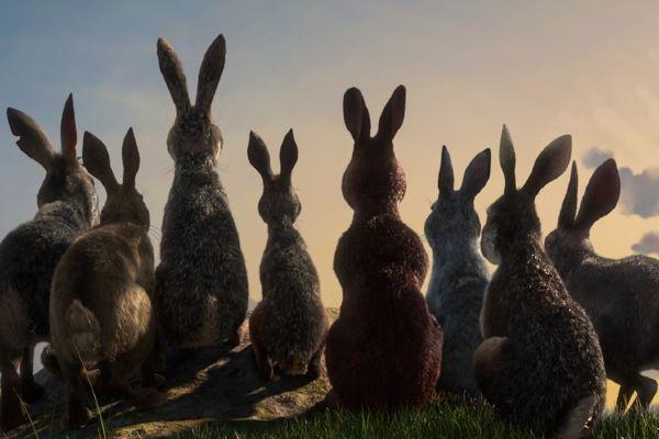 BBC is bringing Watership Down to your screens this Christmas