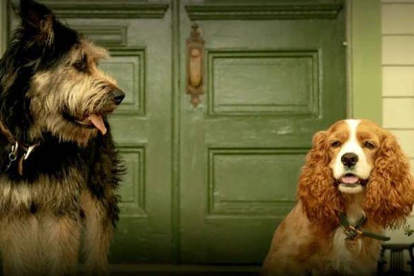 Disney releases new Lady and the Tramp trailer and its magical