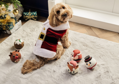 27 of the best Christmas gifts for your pet