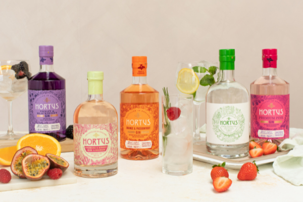 Lidl launch 5 new summer-inspired fruity gins and we want them all