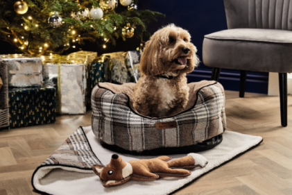 Luxurious & budget friendly gifts for your pets this Christmas