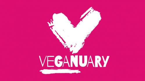 Veganuary can extend to your wardrobe, cleaning products and makeup bag!